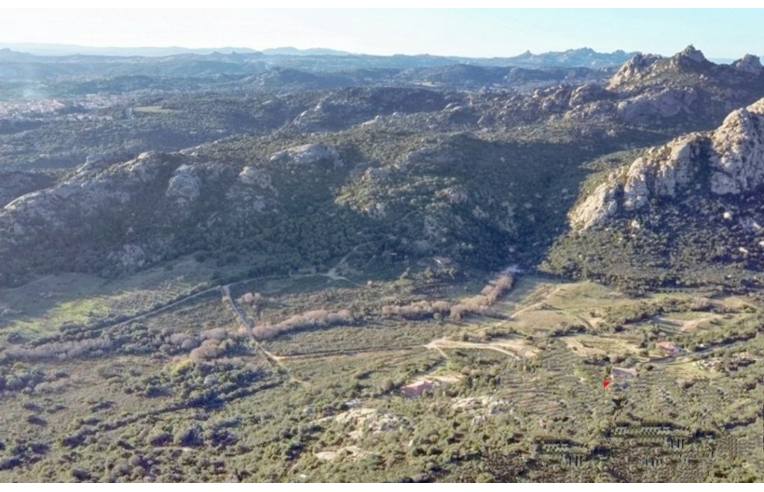 terreno agricolo in vendita ad Arzachena