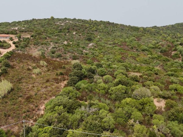 terreno in vendita ad Arzachena