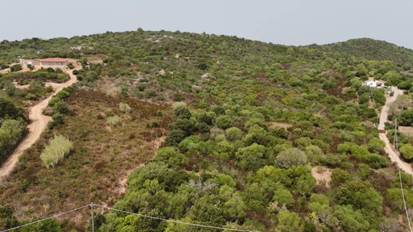 terreno in vendita ad Arzachena