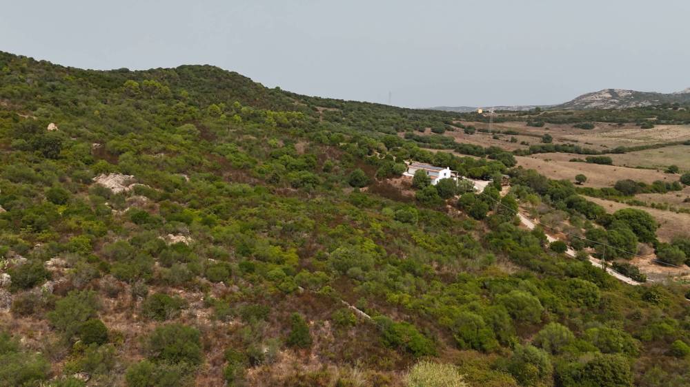terreno in vendita ad Arzachena