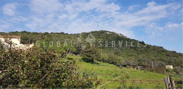 terreno in vendita ad Arzachena