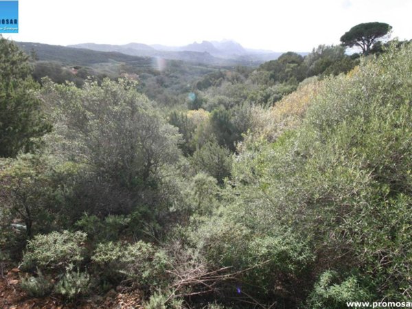 terreno in vendita ad Arzachena