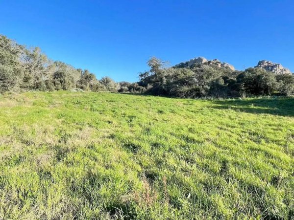 terreno in vendita ad Arzachena
