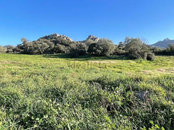 terreno in vendita ad Arzachena