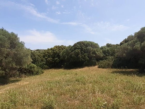 terreno in vendita ad Arzachena