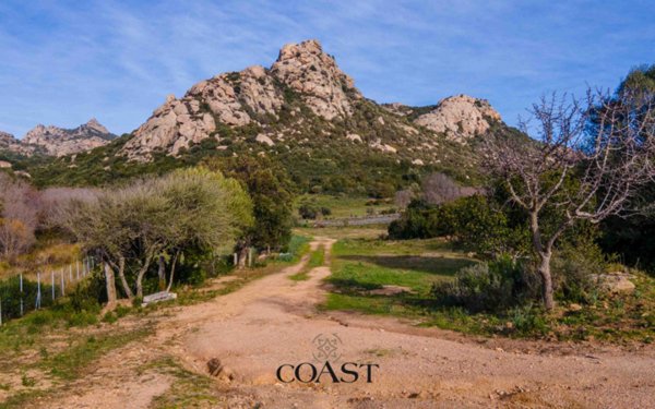 casale in vendita ad Arzachena
