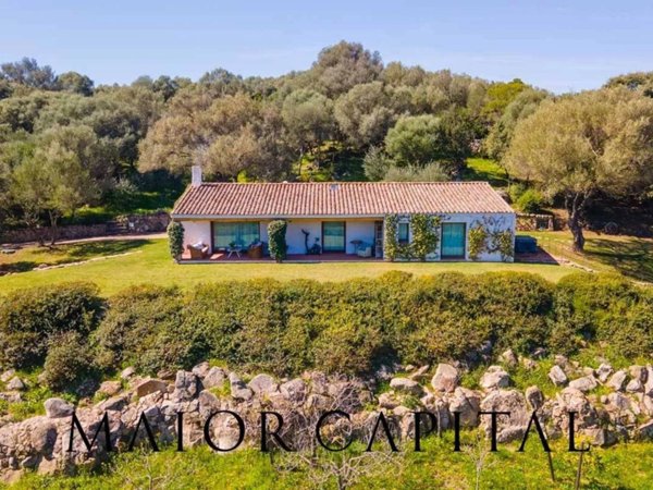 casa indipendente in vendita ad Arzachena