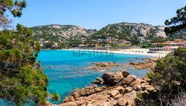 multiproprieta in vendita ad Arzachena in zona Baja Sardinia