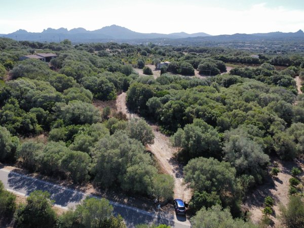 casale in vendita ad Arzachena