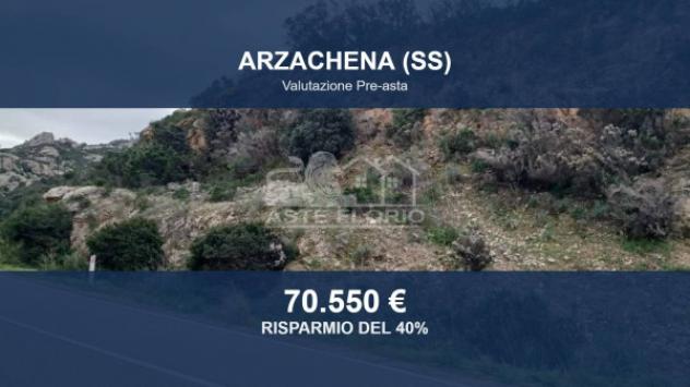 terreno agricolo in vendita ad Arzachena