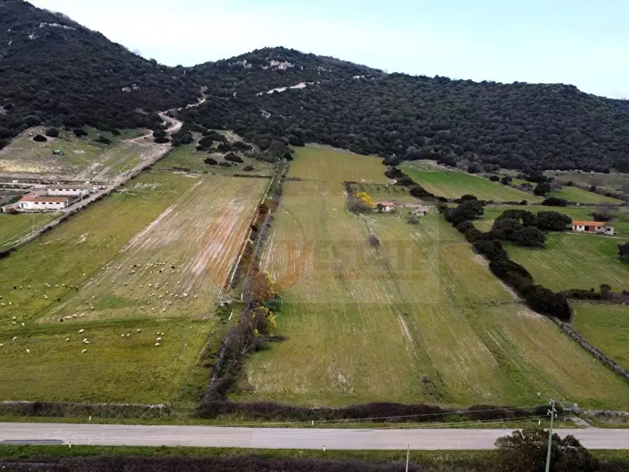 terreno agricolo in vendita a Banari
