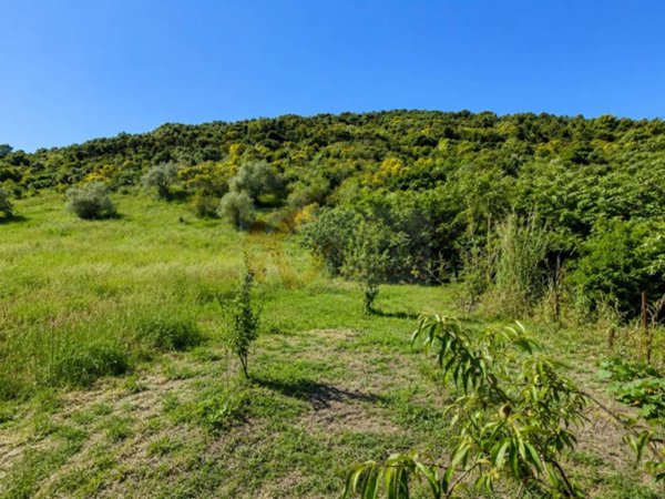 terreno agricolo in vendita a Banari