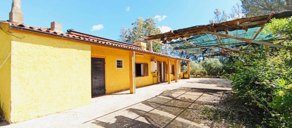 appartamento in vendita a Berchidda