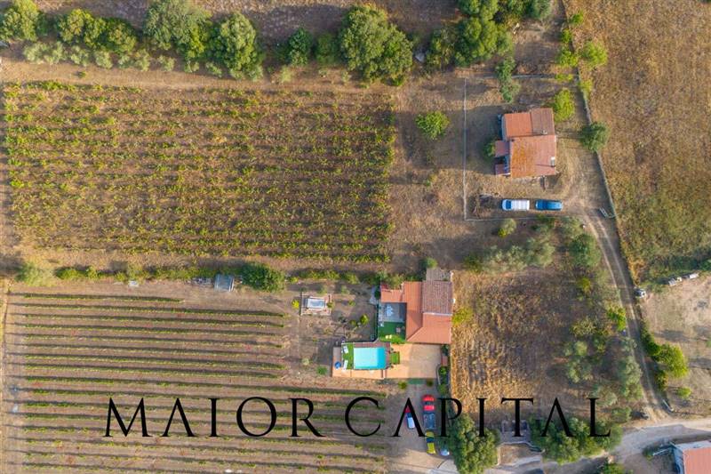 casa indipendente in vendita a Berchidda