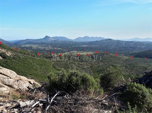 terreno agricolo in vendita a Berchidda