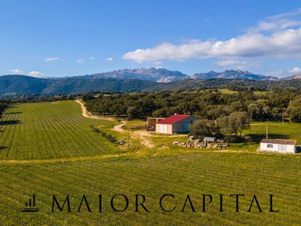 negozio in vendita a Berchidda