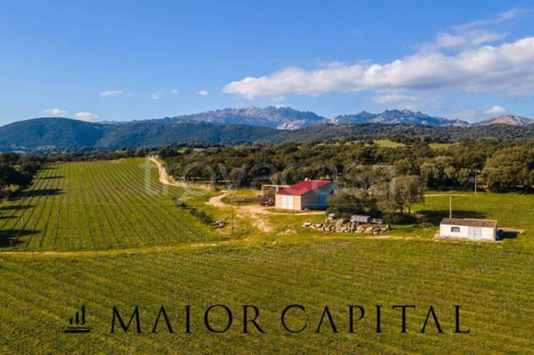 appartamento in vendita a Berchidda
