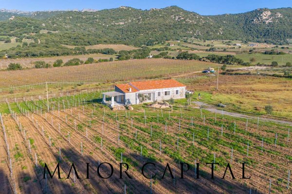casa indipendente in vendita a Berchidda