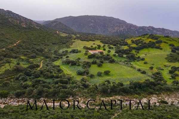 terreno agricolo in vendita a Berchidda