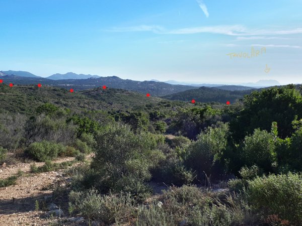 terreno agricolo in vendita a Berchidda