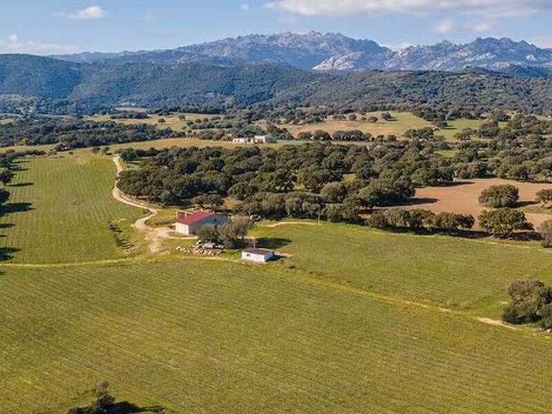 azienda agricola in vendita a Berchidda