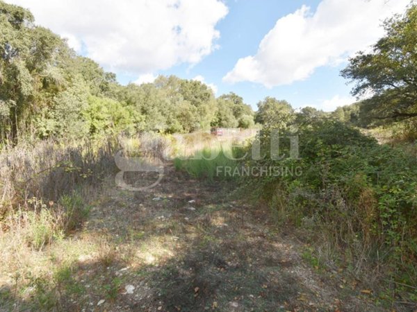 terreno agricolo in vendita a Berchidda