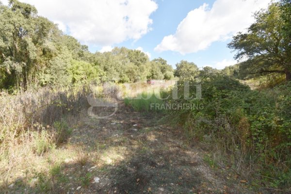 terreno agricolo in vendita a Berchidda
