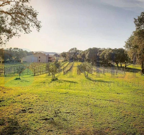 casale in vendita a Berchidda