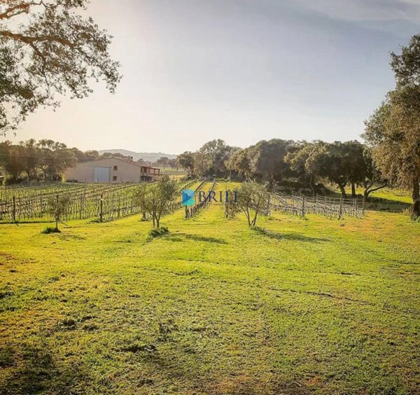 casale in vendita a Berchidda