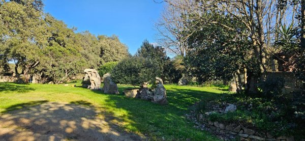 terreno agricolo in vendita a Berchidda