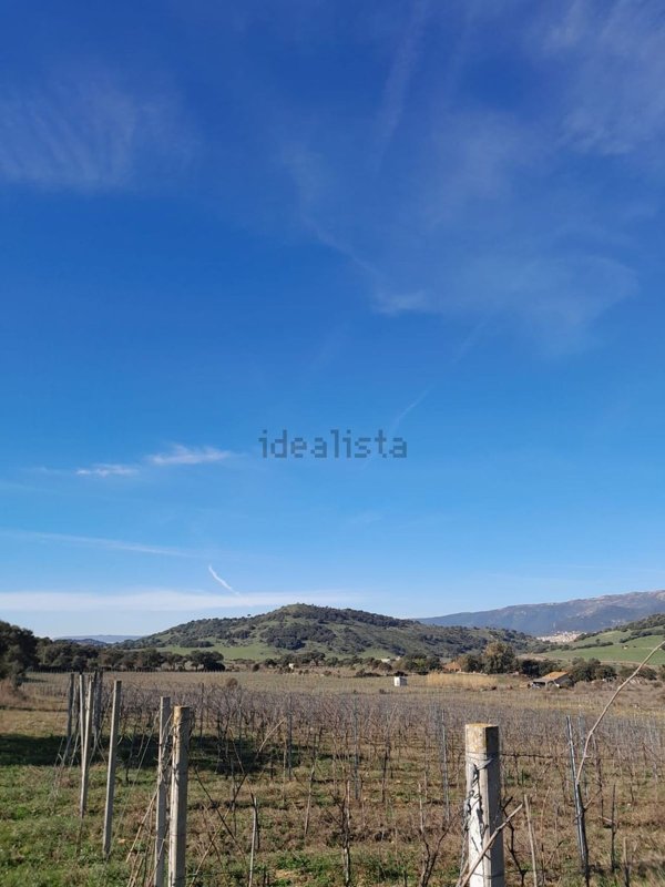 terreno agricolo in vendita a Berchidda