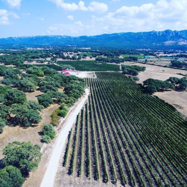 quadrivano in vendita a Berchidda