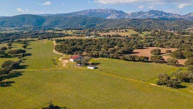 casa indipendente in vendita a Berchidda