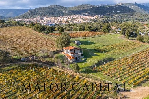 casa indipendente in vendita a Berchidda
