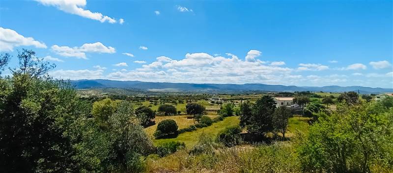 terreno edificabile in vendita a Berchidda