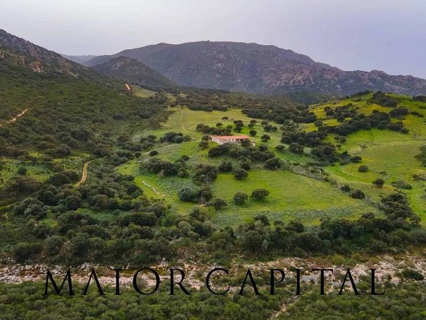 negozio in vendita a Berchidda
