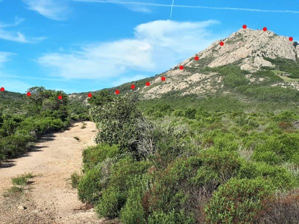 terreno agricolo in vendita a Berchidda