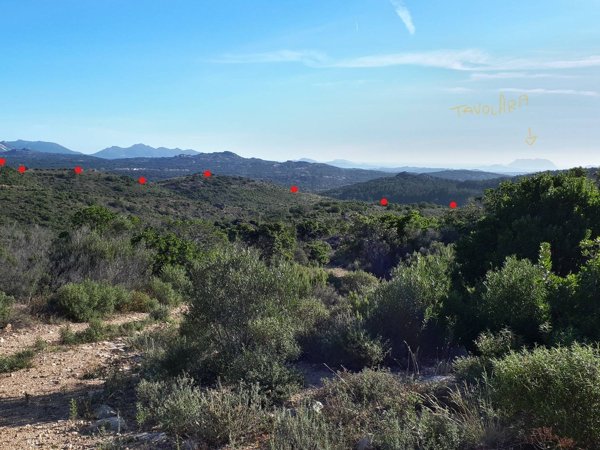 terreno agricolo in vendita a Berchidda