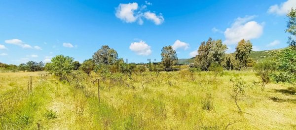 terreno agricolo in vendita a Berchidda