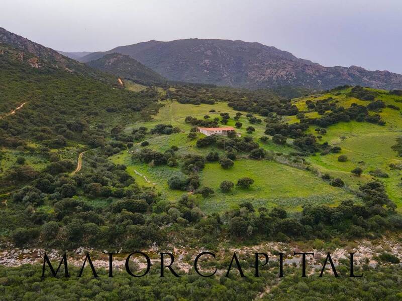 terreno in vendita a Berchidda