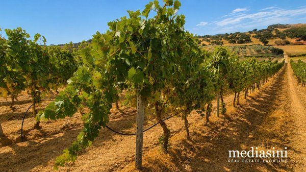 terreno in vendita a Berchidda