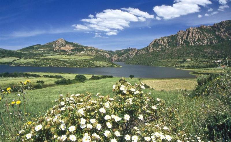 terreno agricolo in vendita a Bortigiadas