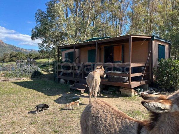 bivano in vendita a Bortigiadas