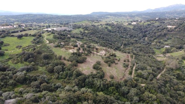 casa indipendente in vendita a Bortigiadas