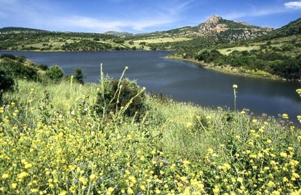 villetta a schiera in vendita a Bortigiadas