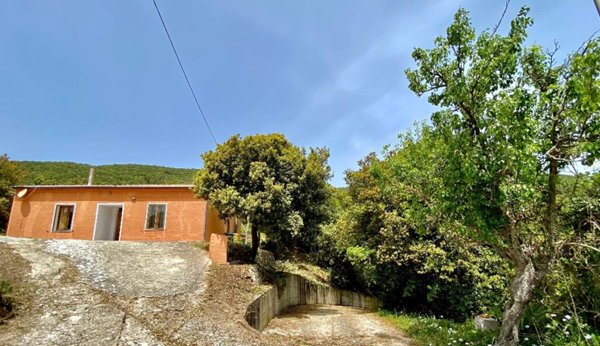 casa indipendente in vendita a Bortigiadas