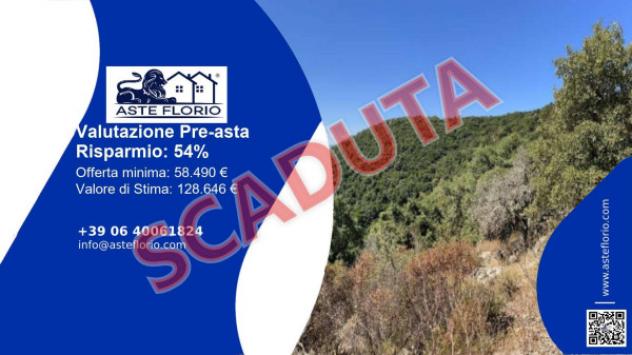 terreno agricolo in vendita a Bortigiadas