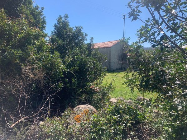 appartamento in vendita a Bortigiadas