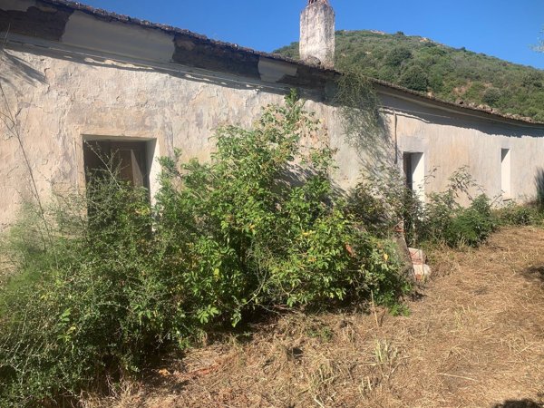 pentavano in vendita a Bortigiadas