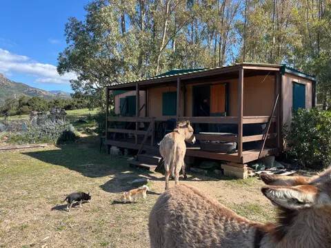 casa indipendente in vendita a Bortigiadas